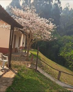 a tree with pink flowers on it next to a fence at Pousada Chalés Sierra in Serra Negra