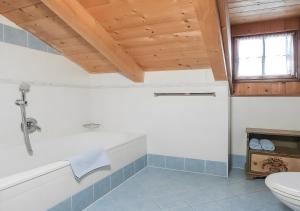 un baño con ducha y WC en Plazores, en San Vigilio Di Marebbe