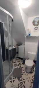 une salle de bain avec douche et toilettes dans l'établissement appt F3 - La Bresse/Cornimont, à Cornimont