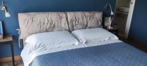 a bed in a room with a blue wall at Casa Rosa Istria in Kućibreg