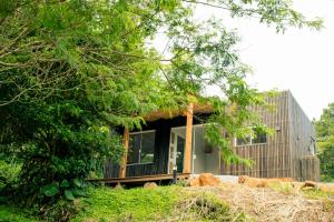 a house with cows laying in front of it at Nautikus - Chalés no Canal da Barra da Lagoa in Florianópolis