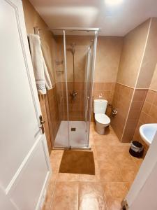 ein Badezimmer mit Dusche und Toilette in der Unterkunft Vv Ancla in Puerto de Mogán