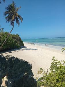 a beach with a palm tree and the ocean at Tango house in Ukunda +10 photos