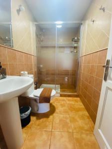 a bathroom with a toilet and a sink and a shower at Vv Estrella in Puerto de Mogán