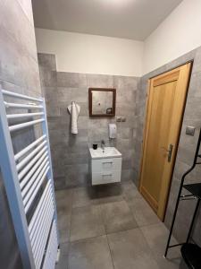 a bathroom with a sink and a mirror at Relax Centrum Gól in Loučná nad Desnou