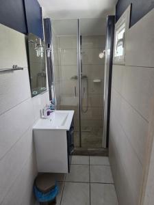 Un baño con ducha, lavabo e inodoro. en Appart Cocotiers, en La Saline-Les-Bains 8 fotos más