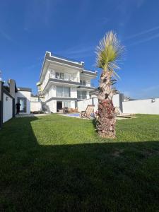 een palmboom voor een huis bij Tahari Villas in Buyukcekmece