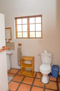 a bathroom with a toilet and a sink at Asher Riverside Cottages in Bonnievale
