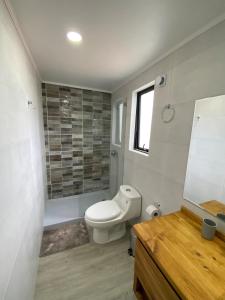 um banheiro com vaso sanitário, chuveiro e pia em Refugio Matanzas Loft con Jacuzzi privado em Pupuya