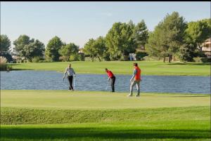 a group of people playing golf on a golf course at Appartement Pont Royal vu lac in Mallemort