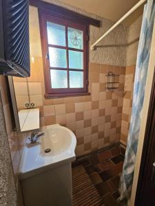 a bathroom with a sink and a window and a shower at Le petit moulin in Journet +8 photos