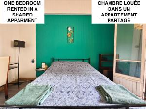 een bed in een kamer met een groene muur bij La Bugeotte :p in Marseille