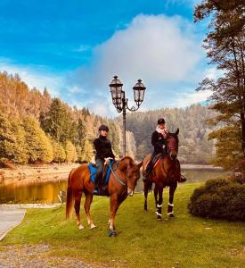 two people riding on horses next to a street light at Alba di Montanaria in Brosso