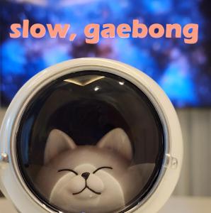 Фотография из галереи Slow, gaebong в Сеуле