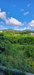 Φυσικό τοπίο κοντά σε αυτή η βίλα