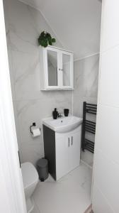 Ένα μπάνιο στο Modern 3 bed house in Edmonton with private driveway parking +10 φωτογραφίες