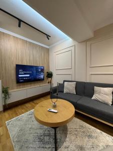 TV a/nebo společenská místnost v ubytování City center apartment 3