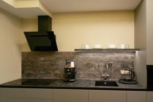 Kuchyň nebo kuchyňský kout v ubytování Luxury Airport Studio with Balcony Cozy & Modern + 6 fotografií