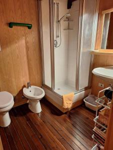 a bathroom with a shower and a toilet and a sink at Casa Lolli in Madonna di Campiglio