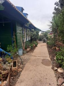 a path outside of a house with a garden at הבית של גלגל in Arad