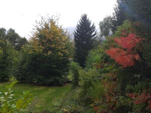 Κήπος έξω από το Alt Dwinge