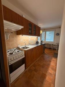 Η κουζίνα ή μικρή κουζίνα στο Apartmán PREDMESTSKÁ