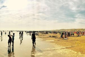 Природа в окрестностях комплекса для отдыха