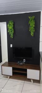 a television with two plants on a black wall at Kitnet in Itaparica Town