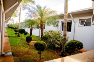 a yard with palm trees and a house at Habitat Hotel Pirassununga in Pirassununga