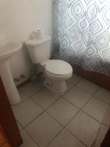 a bathroom with a toilet and a sink at Cabañas Mami Kiki in Panguipulli