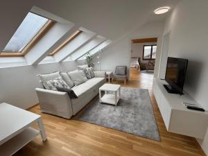 a living room with a couch and a tv at ANMARI Apartment & Rooms in Radovljica