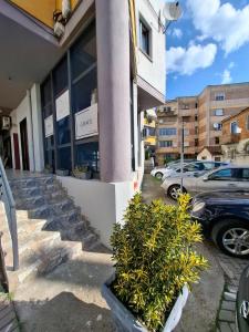 een winkelpui met wat planten ervoor bij Flor Apartment in Pogradec +2 foto's