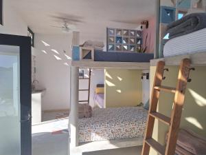 une chambre avec trois lits superposés et une échelle dans l'établissement Hostel Baja Beans, à El Pescadero
