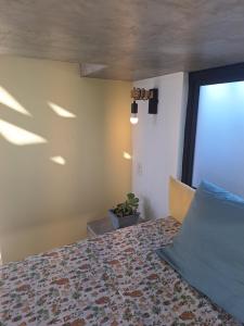 une chambre avec un lit et une fenêtre dans l'établissement Hostel Baja Beans, à El Pescadero