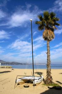 ein Boot am Strand neben einer Palme in der Unterkunft GASDON - Golfe de St-Tropez - Gassin - Studio cabine dans résidence avec piscine bord de mer in Gassin