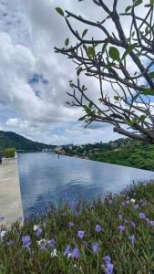 a view of a body of water with purple flowers at Cityscape Bliss Phuket in Ban Sam Kong +12 photos