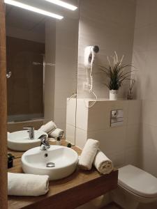 Koupelna v ubytování Zlatarooms