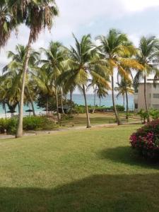 ル・ゴジエにあるStudio accueillant avec vue mer à Le Gosierのヤシの木と海の公園