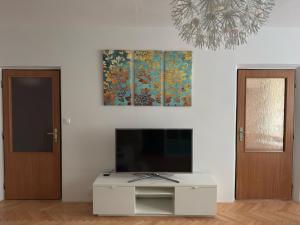 Μια τηλεόραση ή/και κέντρο ψυχαγωγίας στο Apartmán PREDMESTSKÁ