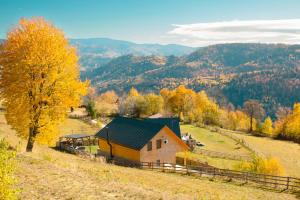 Příroda nedaleko chaty