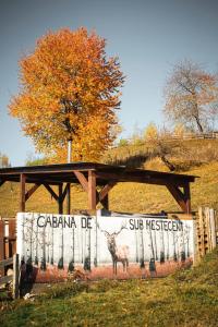 Fotografie z fotogalerie ubytování Cabana de sub mesteceni v destinaci Mătişeşti