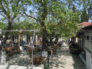a street with tables and chairs and a tree at Charming Apartments in Trikeri Village in Tríkeri