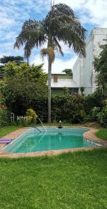 a swimming pool in a yard with a palm tree at Espectacular casa en Olivos in Olivos