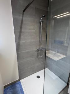 a bathroom with a shower with a sink at Appart Wavre, 2ch, terrasse, piscine, charme & confort in Wavre