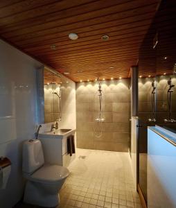 une salle de bains avec toilettes et lavabo dans l'établissement Lapland Oasis, à Rovaniemi