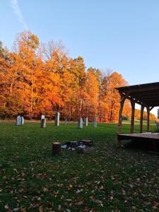 een prieel in een park met herfstbomen bij Maringotka Slaměnka u menhirového kruhu - U Slaměnky in Hněvětice