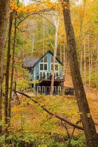a blue house in the middle of the forest at The Greenhouse with Indoor Slide close to Hocking Hills in South Bloomingville