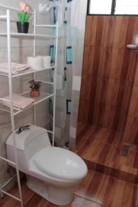 a bathroom with a toilet and a shower at Valle Sagrado Mágico in Urubamba