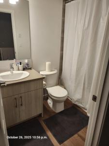 Koupelna v ubytování 3 Bedroom Apartment