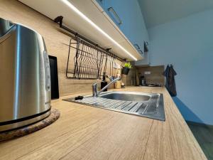 una cocina con fregadero y encimera en FH Apartment Letňany, en Praga 12 fotos más